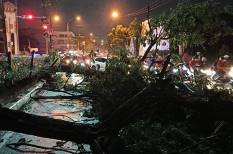 Jalan Margonda Sedang Macet Ada Nya Pohon Tumbang Besar